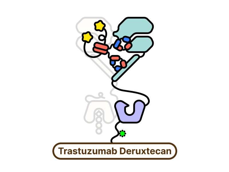 Trastuzumab Deruxtecan
